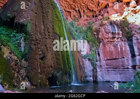 Ribbon Falls couvert de mousse, parc national du Grand Canyon, Arizona, États-Unis Banque D'Images