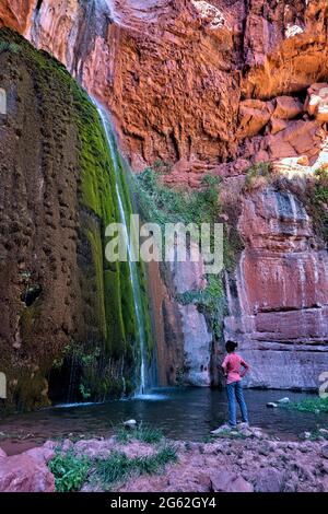 Ribbon Falls couvert de mousse, parc national du Grand Canyon, Arizona, États-Unis Banque D'Images