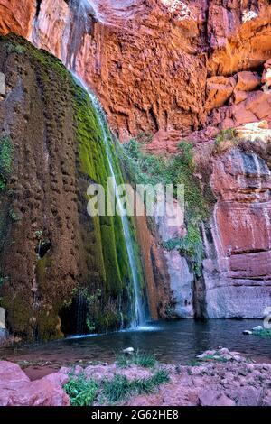 Ribbon Falls couvert de mousse, parc national du Grand Canyon, Arizona, États-Unis Banque D'Images