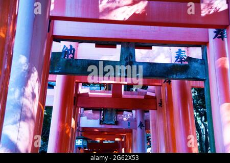 Sanctuaire japonais Fushimi Inari à Kyoto, où un 1000 torri le long du chemin est connu sous le nom de Senbon Trail. Banque D'Images