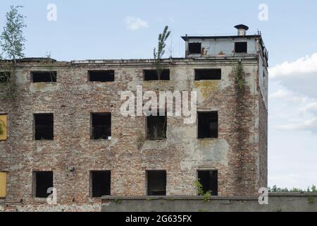 Un vieux bâtiment abandonné en brique rouge sans fenêtres. En brique abandonnée, un jeune arbre va pousser des fenêtres. Ruines pour la démolition Banque D'Images