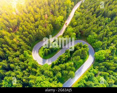 Route en serpentin dans la forêt d'en haut Banque D'Images