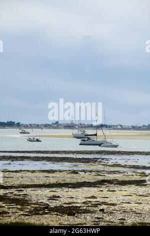 Vue depuis la plage de la patache sur les bateaux de plaisance à marée basse avec Ars-en-Ré en arrière-plan Banque D'Images