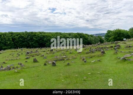 Vue sur le terrain du site funéraire Viking de Lindholm Hills, dans le nord du Danemark Banque D'Images