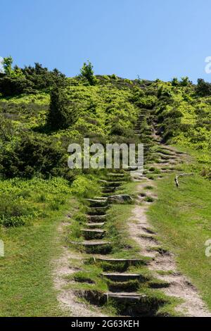 sentier de randonnée menant au sommet d'une colline dans la campagne de la lande avec des marches en bois Banque D'Images