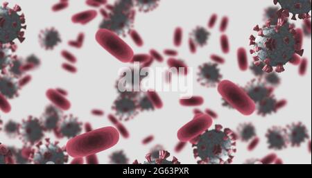 Image de macrocoronavirus cellules Covid-19 flottant dans une veine. 4k Banque D'Images