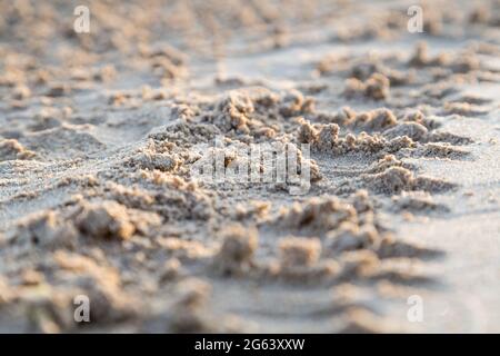 Traces de pneus de voiture dans le sable de la mer Banque D'Images