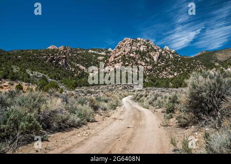 Formations rocheuses, forêt de pinyon-genévrier, broussailles, massif de Sawtooth Mountain, chemin Miller Canyon, House Range, Sévier Desert, Utah, États-Unis Banque D'Images