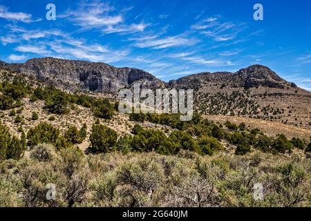 Formations rocheuses au-dessus de Miller Canyon, forêt de pinyon-Juniper, gommage au pinceau, chaîne de maisons, désert de Sévier, Great Basin Desert, Utah, États-Unis Banque D'Images