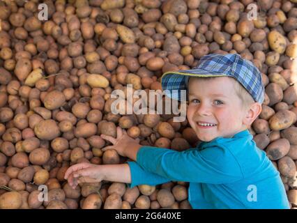 un joli petit garçon dans un t-shirt bleu et un chapeau repose sur une grande pile de pommes de terre fraîchement moulées, souriant. Bonne récolte, peu d'aide. Saison de récolte, ou Banque D'Images