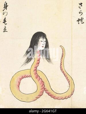 Bakemono Zukushi - Sara-Hebi (さら蛇) est une grande créature semblable à un serpent à la tête d'une femme. Banque D'Images