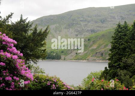 Vue sur le réservoir de Haweswater depuis un jardin dans le Lake District, Royaume-Uni Banque D'Images