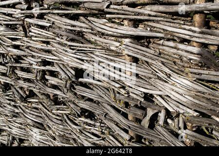 Clôture en osier. Texture d'arrière-plan abstraite. Le larmoiement est depuis longtemps considéré comme un symbole de confort et de la vie rurale mesurée. Banque D'Images