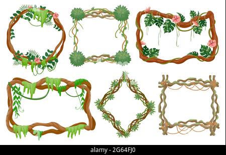 Cadres de liana de jungle. Branches de dessin animé de forêt tropicale avec mousse, vignes avec feuilles tropicales et fleurs exotiques cadre rond et carré ensemble de vecteur Illustration de Vecteur