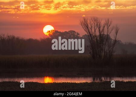 Coucher de soleil avec ciel orange – Soleil près de l'horizon au crépuscule à San Vicente, Buenos Aires, Argentine Banque D'Images
