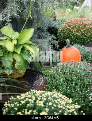 Un potiron orange aux couleurs vives, installé parmi des fleurs et des arbustes dans un marché agricole. Banque D'Images