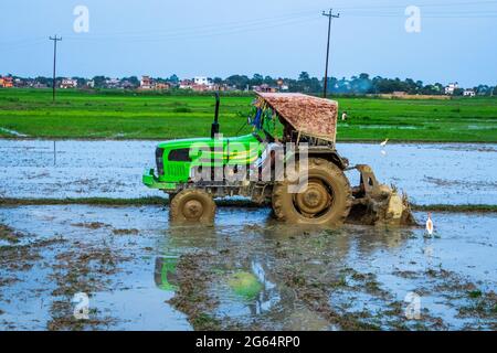 Le tracteur charrue le champ. Un tracteur extra-robuste se plie dans un champ boueux après la pluie de mousson pour préparer la terre à la plantation de riz. Banque D'Images