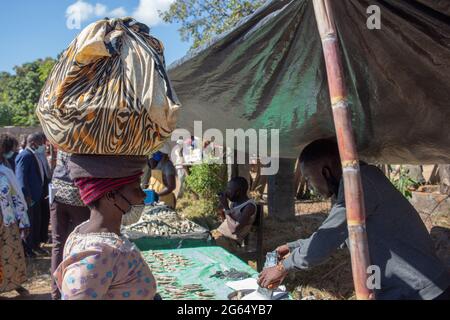 Femme portant un seau sur sa tête, achetant du poisson salé sur le marché local Banque D'Images