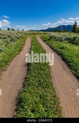 Route arrière à deux voies près du lac Lily, dans les montagnes au-dessus de la Beartooth Highway, Shoshone National Forest, Wyoming, États-Unis Banque D'Images