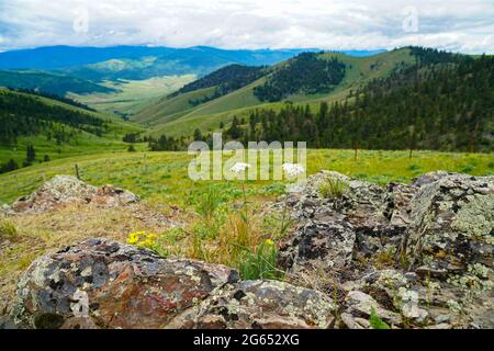 La National Bison Range, située à l'extrême ouest du Montana, est magnifique et offre des vues époustouflantes dans toutes les directions et une faune et une flore incroyables Banque D'Images