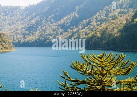 Lac Lago Verde dans le parc national Huerquehue, Chili Banque D'Images