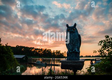 Une figurine de chouette sur un piédestal en bois sur le fond d'un paysage de soirée près de la rivière avec un immense ciel bleu avec des nuages roses Banque D'Images