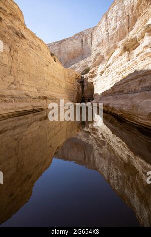 Oasis d'Ein Ovdat, Negev, Israël Banque D'Images