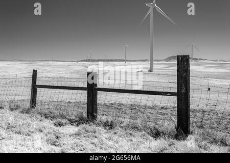 La centrale éolienne de Shiloh est un parc éolien situé dans les collines de Montezuma du comté de Solano, Californie, États-Unis, près de Bird's Landing et Collinsville, Banque D'Images