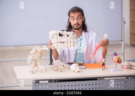 Jeune paléontologue devant le tableau blanc Banque D'Images