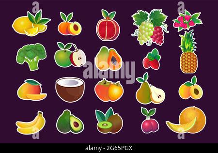 mettez en place divers fruits frais juteux collection concept de nourriture naturelle saine horizontale Illustration de Vecteur