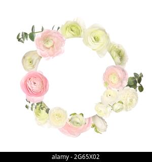 Maquette de carte de vœux avec de belles fleurs de ranunculus Banque D'Images