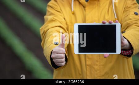 Agriculteur montrant la tablette, l'écran vide et en maintenant le pouce vers le haut comme signe ok dans le champ Banque D'Images