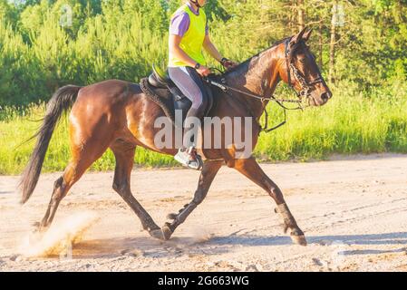 Concurrent fille équitation cheval dans le champ d'été pré.Jeune cavalier gallerps par le jour ensoleillé d'été.Rivalry concept. Banque D'Images