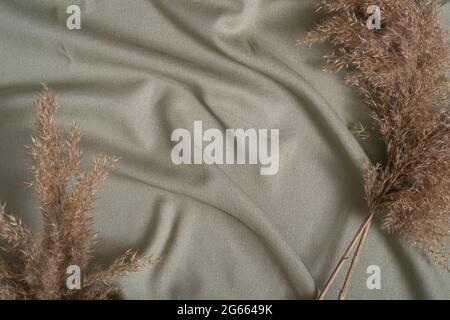 Textile vert neutre, tissu de lin près de la décoration pampas sec herbe Banque D'Images