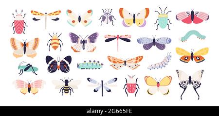 Insectes décoratifs. Coléoptères, papillons, libellules, abeille, chenille et sauterelle. Jeu de vecteurs plats vintage à motif insecte et ver de printemps Illustration de Vecteur