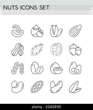 Jeu d'illustrations vectorielles de contour de ligne d'icônes de noix. Formes et coupes transversales Illustration de Vecteur