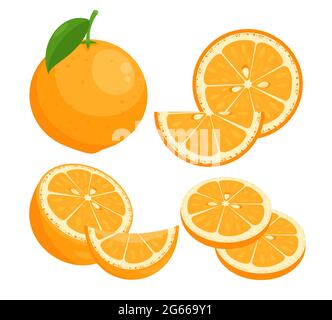 Jeu d'illustrations vectorielles plates orange. Agrumes mûrs juteux entiers en pelure avec un paquet isolé de feuilles sur fond blanc. Tranches de fruits frais naturels d'été Illustration de Vecteur