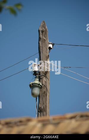 Lignes électriques sur un ancien poteau en bois avec éclairage de rue contre le ciel bleu dans la journée Banque D'Images