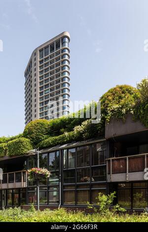 Eindhoven, pays-Bas 18 juin 2021. Nature verte dans le centre de la ville d'Eindhoven avec des plantes, de la verdure, des fleurs, des maisons surcultivées, des magasins et un Banque D'Images