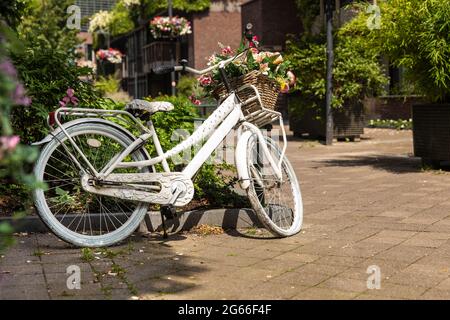 Vélo blanc garé avec un panier et des fleurs à l'intérieur dans une rue verte dans le centre de la ville d'Eindhoven avec beaucoup de verdure, la nature et les plantes créat Banque D'Images