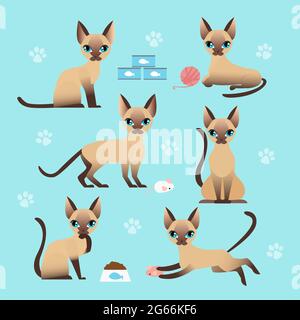 Ensemble d'illustrations vectorielles de chat mignon dans différentes poses. Manger, dormir, s'asseoir et jouer chaton dans un style de dessin animé plat. Illustration de Vecteur