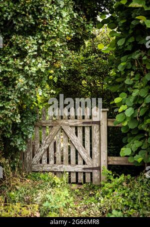 Ancienne porte de jardin rustique en bois entourée de végétation verte Banque D'Images