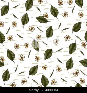 Petit motif vectoriel de fleurs blanches sans coutures. Illustration estivale de la plumeria tropicale. Fond d'écran de blossom hawaii. Illustration de Vecteur