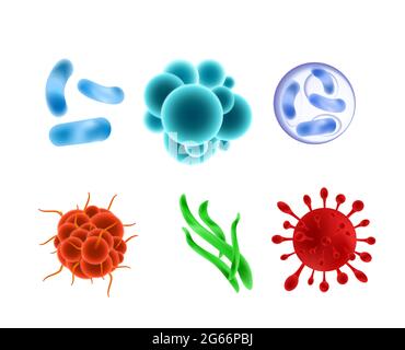 Ensemble d'illustrations vectorielles de bactéries réalistes différents types, couleurs et formes. Collection de virus, de micro-organismes et de bactéries isolée sur blanc Illustration de Vecteur