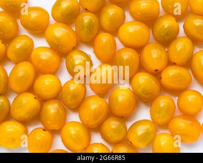 Vue en grand angle de l'image plein format de tomates jaunes brillantes. Banque D'Images