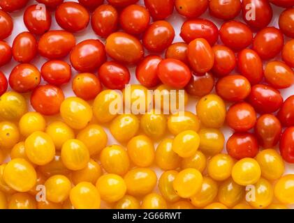 Vue en grand angle de l'image plein format de tomates rouges et jaunes brillantes. Banque D'Images