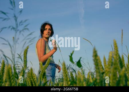 Une belle fille pose dans un champ de blé contre un ciel bleu. Banque D'Images