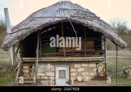 Hutte primitive faite de roseaux et de paille avec un toit de chaume Banque D'Images