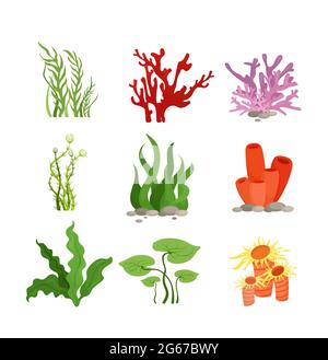 Ensemble d'illustrations vectorielles de plantes aquatiques colorées et de corail isolé sur fond blanc dans le style de dessin animé plat. Illustration de Vecteur