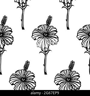 La ligne d'art vectoriel de fleurs d'hibiscus ou de mousselets roses est en noir et blanc sans couture Illustration de Vecteur